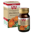 Pilosella 30 Cps Vegetali